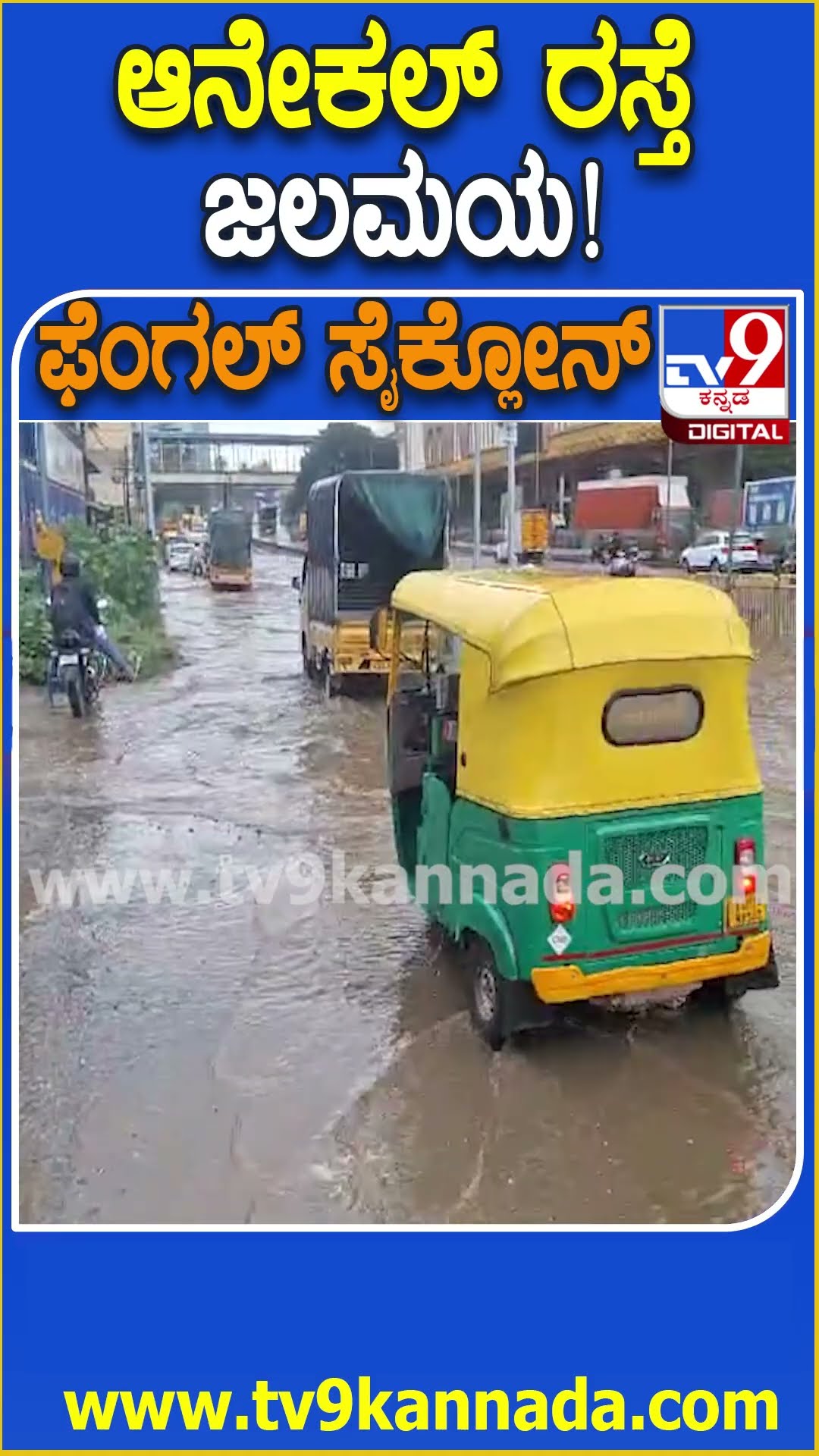 ಆನೇಕಲ್ ರಸ್ತೆ ಜಲಮಯ! #Rain #Tv9D
