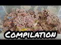 ASMR Vacuuming - Compilation