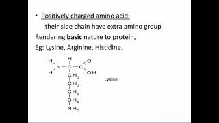Amino Acids And Iys Clificationbiochemistry
