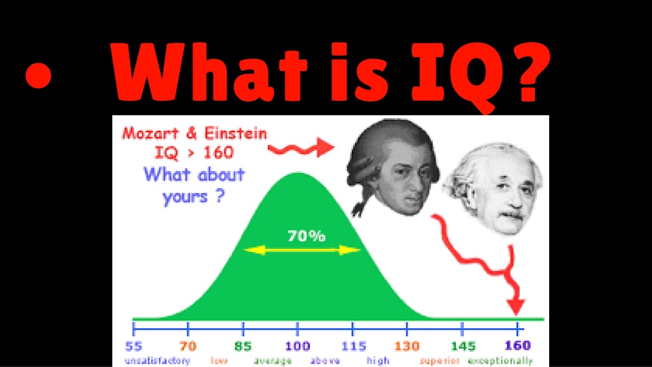 Iq 2024. What is IQ. COLORMATIC IQ 2. Question IQ Test.