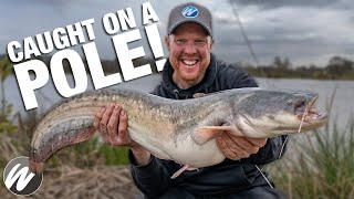 Monster Fish landed on a POLE! | Andy May and Rich Chapman