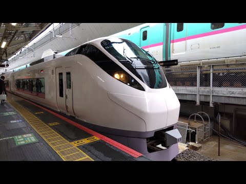 JR東日本 特急ときわ66号品川行き E657系 10両編成　東京駅発車