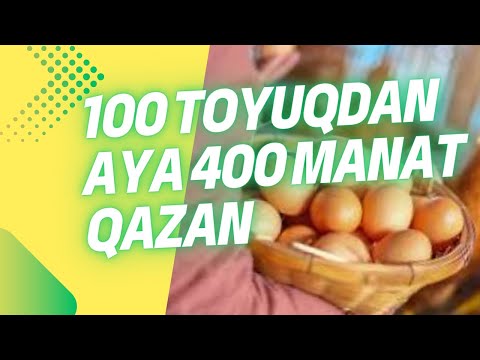 Toyuq Yumurta Biznesi (100Toyuqdan aya 400 manat pul qazan )