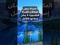 تعر ف على آثار الخيانة على العلاقات الشخصية 