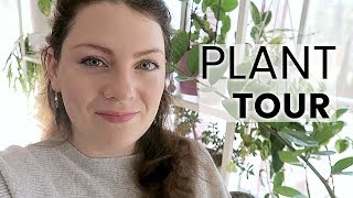 PLANT TOUR 2019 - Ma collection complète de plantes d'intérieur | Plantes vertes et orchidées