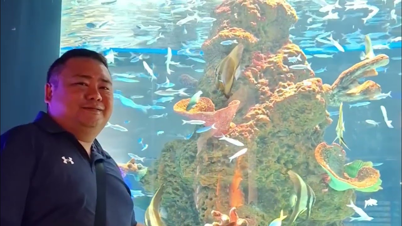 Cebu Tour....  ( music no copyright infringement  belong to the owner.)