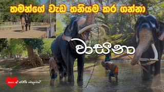 Wasana & Ajith | තමන්ගෙ වැඩ තමන්ම කරගන්න වාසනා | Kataragama Wasana