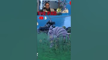 Shiny Vulpix Evolution | Pokémon Scarlet & Violet #pokemon #shiny #goat #evolution