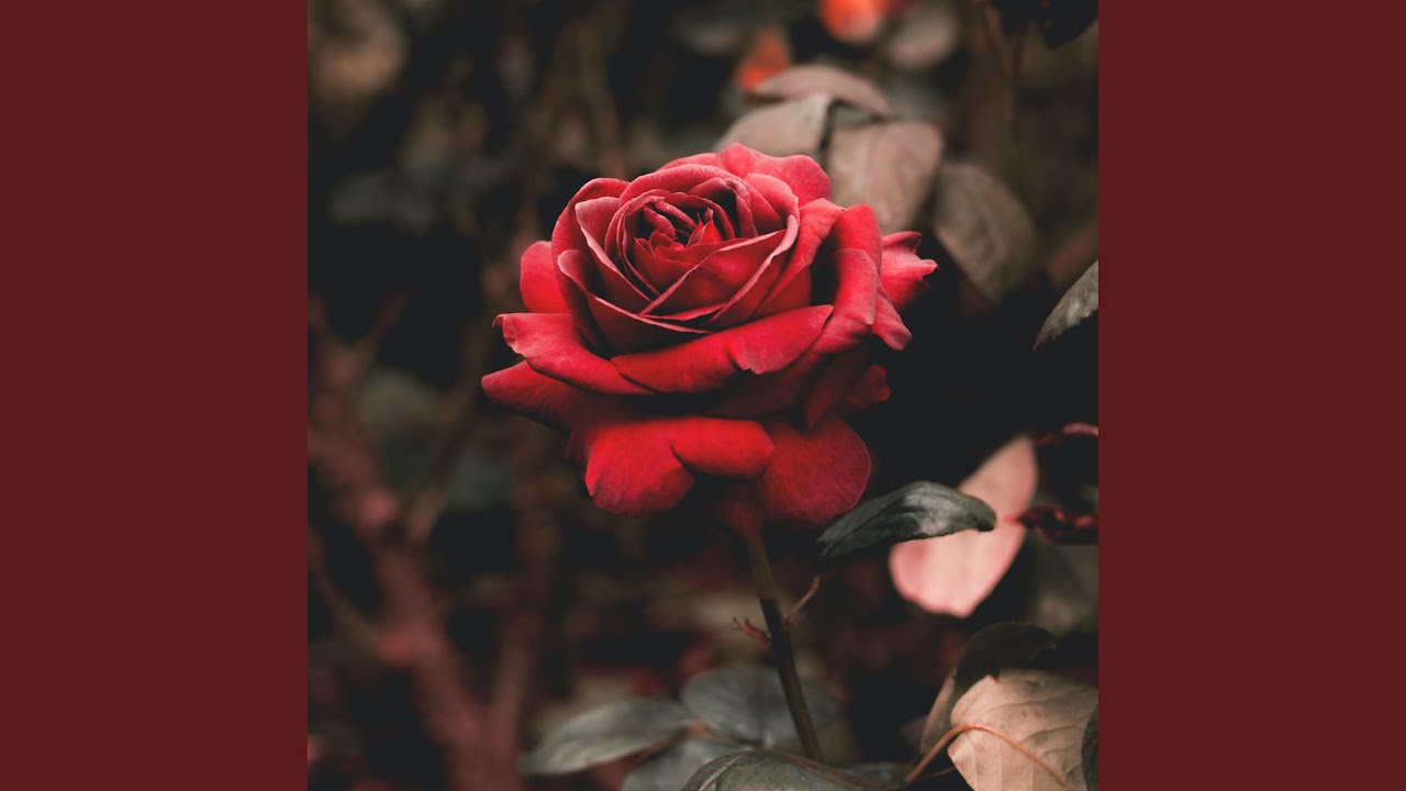 YouTube에서 Chances 보기 YouTube에서 Chances 보기