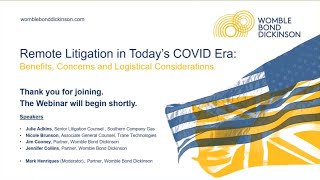 Webinar: Remote Litigation in Today's COVID Era: Benefits, Concerns and Logistical Considerations