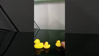 🐥Shake your hips!💞😘 | If You're Happy Song | Duck Video For Babies | Nursery Rhymes & Kids Songs
