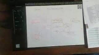 Double Bubble Thinking Map - British and Colonists