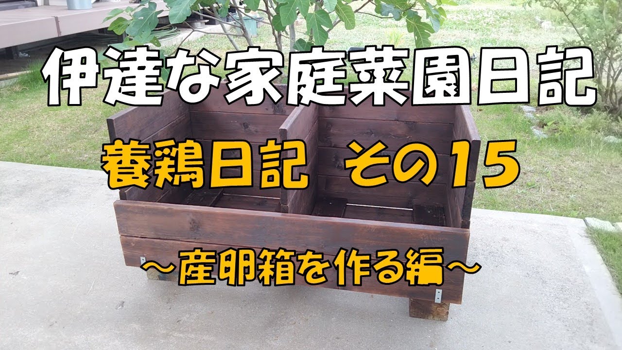 伊達な家庭菜園日記－養鶏日記その１５～産卵箱を作る編～