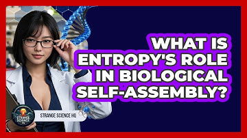 What Is Entropy