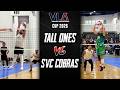 Can We Finish Strong? | The Tall Ones vs SVC Cobras (VLA Cup 2026 Game 3)