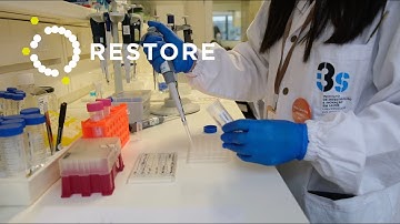 Restore Project - Nanobiomaterials Preparation
