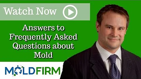 Should You Get a Mold Report? | Atlanta Toxic Mold Attorney | Carson Jeffries