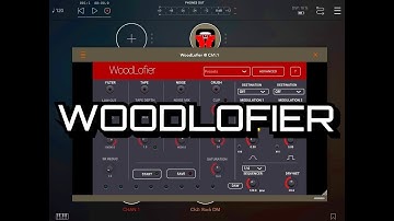 WoodLofier - AUv3 - Tape Wobble - Bit Reduction - Crusher - Saturation & More - iPad Demo
