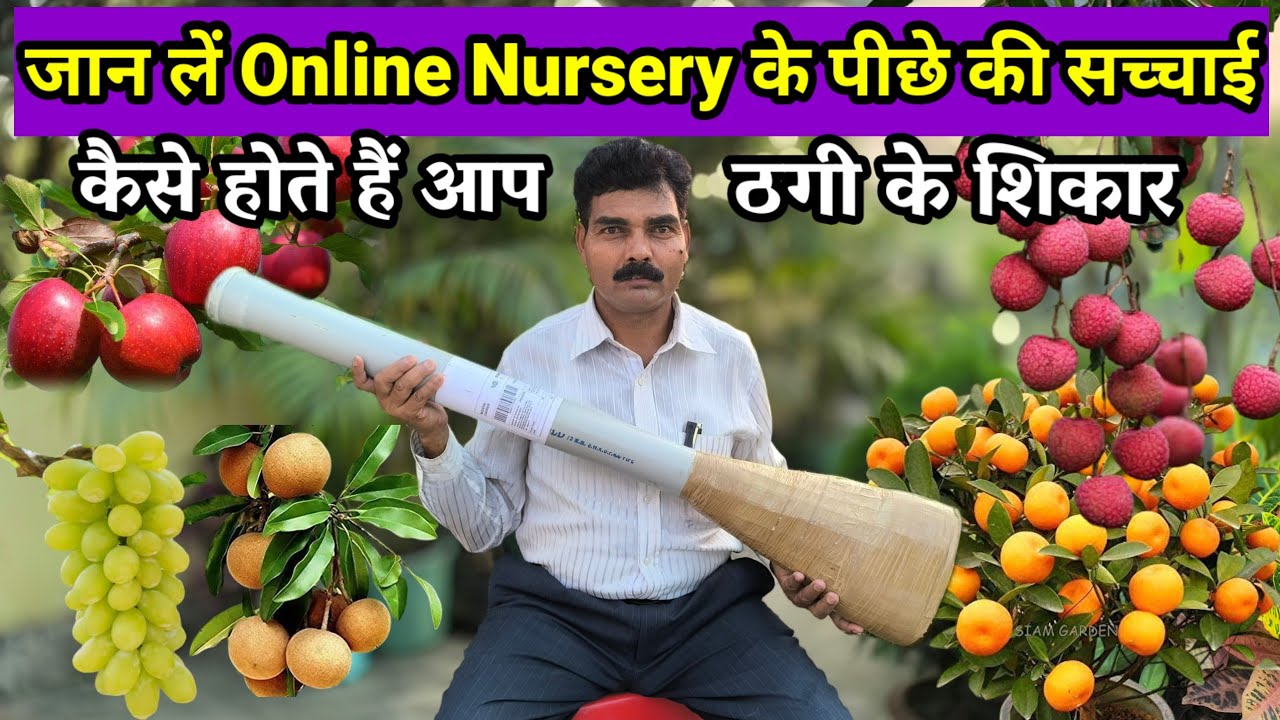 ऐसे बचें Online Nursery की धोखाधड़ी से | Online Fruit Plant Nursery
