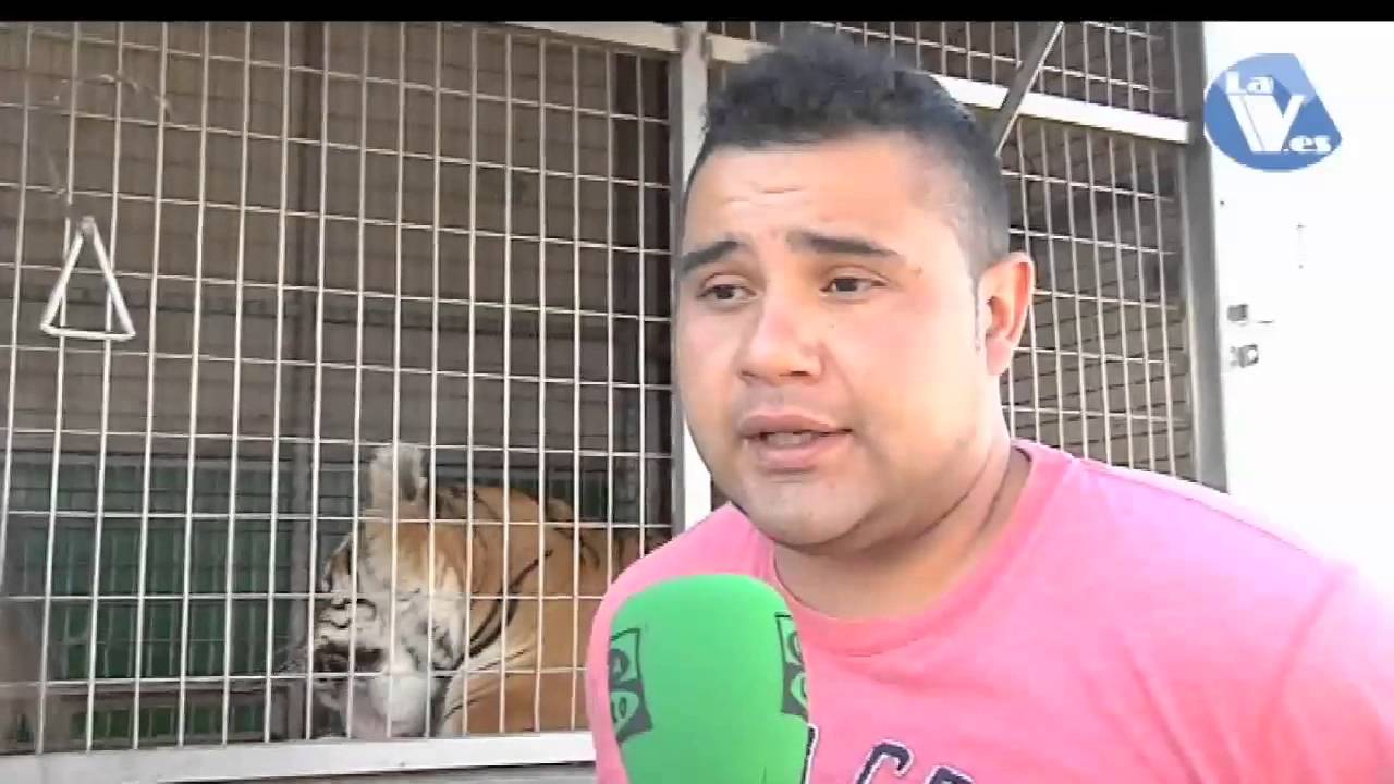 Éxito del circo Wonderland en Collado Villalba