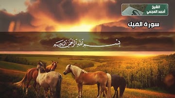 سورة الفيل بصوت القارئ الشيخ احمد العجمي القرآن الكريم بدون اعلانات ❤️