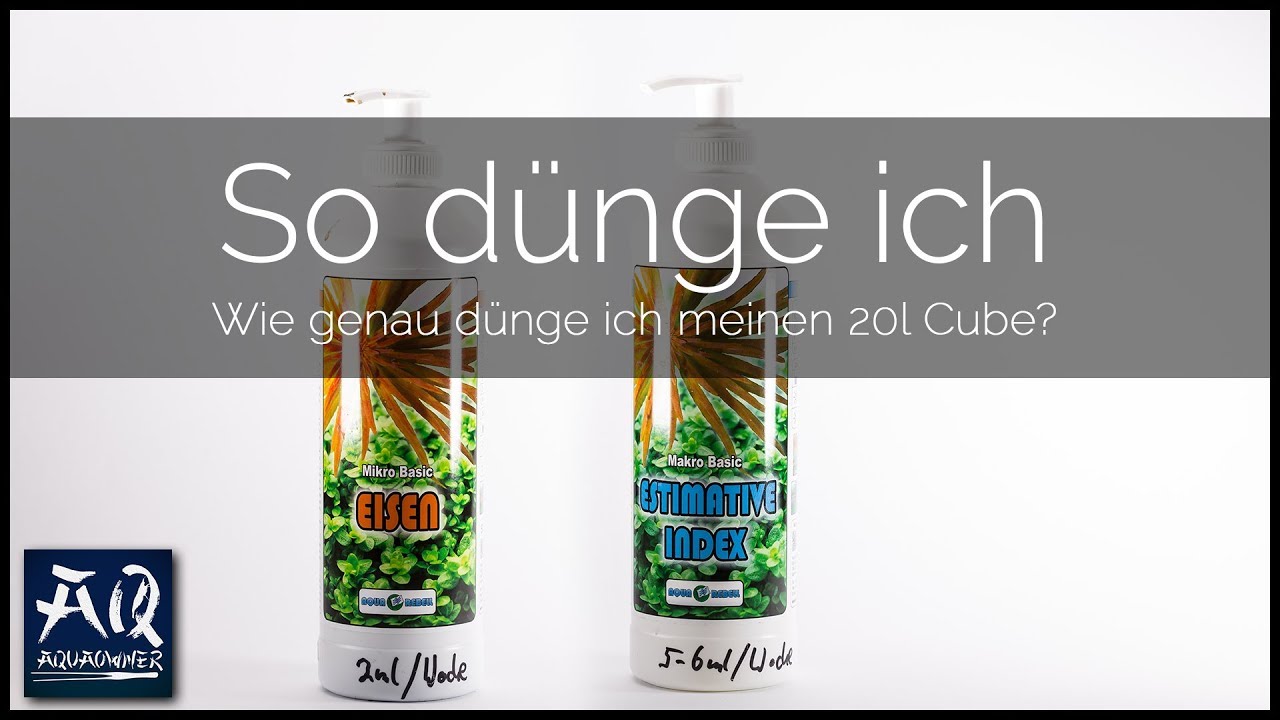 dnger fr immergrne pflanzen Zimba  Organischer EM-Flssigdnger  Fischer's EM-Chiemgau Online-Shop