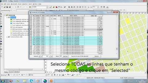 Somar áreas no Arc Gis