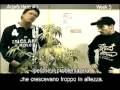 Green House Arjan's Haze #1 Grow with Italian Subtitles