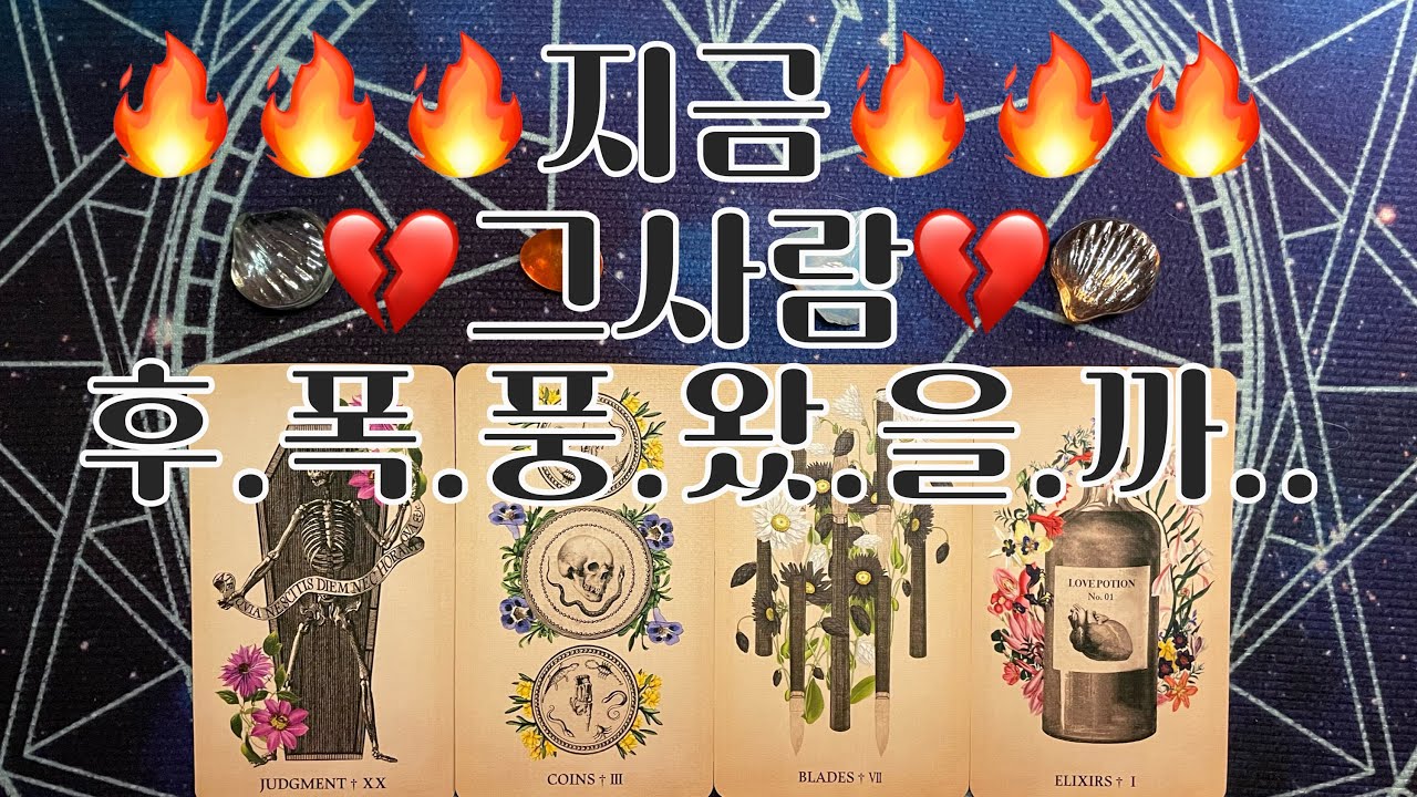 타로-🦋‼️지금‼️그사람 후.폭.풍.왔.을.까..🦋