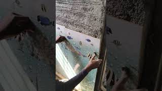 batrum kaisa hai #ghari #construction #tiles #viralvideo #grenight youtube video