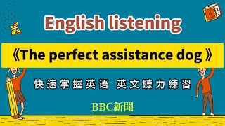 【英文听力练习】BBC新聞朗读《The perfect assistance dog》  英文文章聽力  英语学习 英文聽力練習 英语口语练习