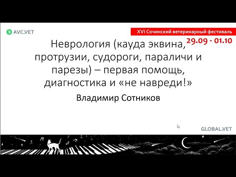 Video: Mexidol-Vet Za Mačke: Upute Za Uporabu, Opis, Kontraindikacije, Nuspojave, Pregledi I Analozi