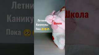 #ПОКА ЛЕТНИЕ КАНИКУЛЫ 🥺😭 #мем#грустная жиза#SHORTS