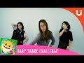 Baby shark challenge pijaru