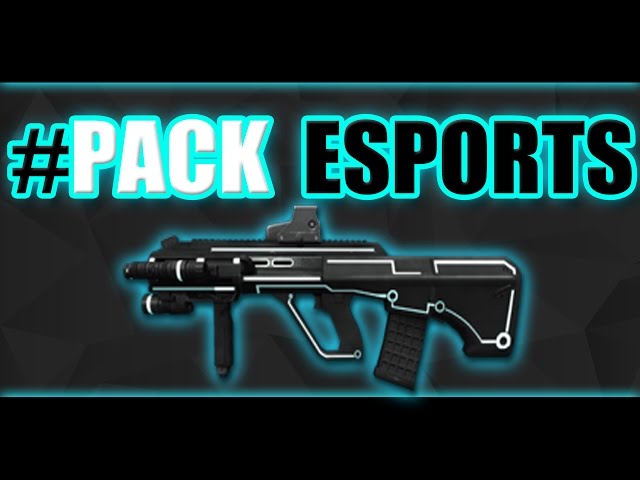 Packs de Armas Point Blank