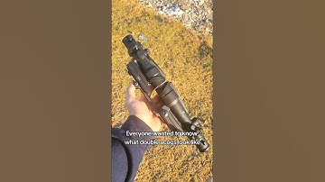 Double ACOG View #shorts #acog #trijicon #military #marines