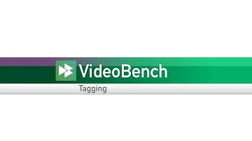 VideoBench Manual - Tagging