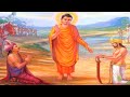 राजा प्रसेनजीत की धम्म दिक्षा | Buddha and his Dhamma #prasenjit