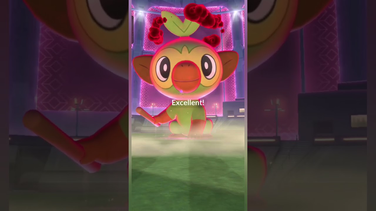 Caught a Dynamax Grookey//Pokemon Go//💛💫