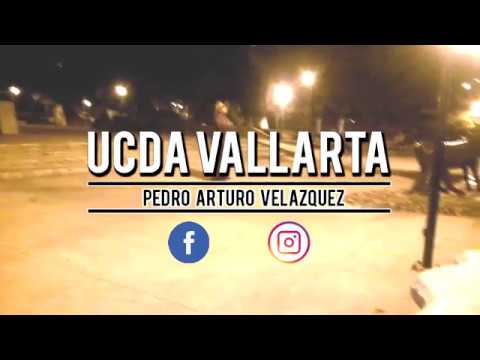 ◄ ucdavallarta skateboarding | Stay gold | Pedro Velazquez ►