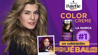 Vignette de la vidéo "Lleva el poder del color en tu pelo |  Palette Color Creme"