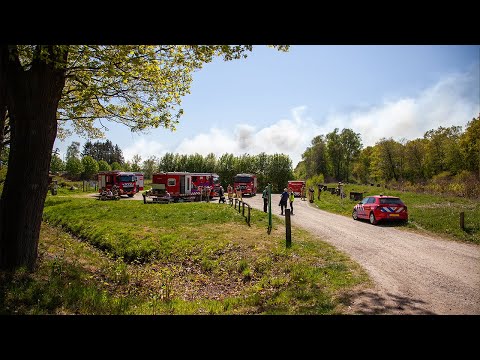 Grote brand natuurgebied Deurnsche Peel