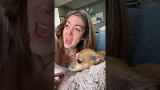 Chihuahua interrupts owner when she is trying to sing
