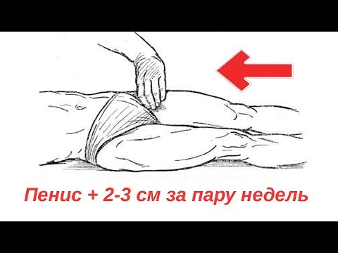 Увеличение полового члена на 2-3 см "Лошадиные сдавливания"