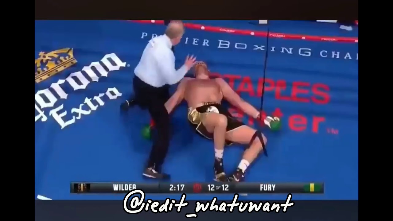 Wilder Vs Fury (UNDERTAKER)