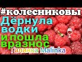 Колесниковы /Дернула водки и пошла вразнос /Деревня дураков /Обзор Влогов /