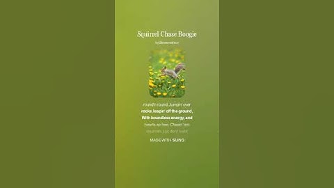 Squirrel Chase Boogie