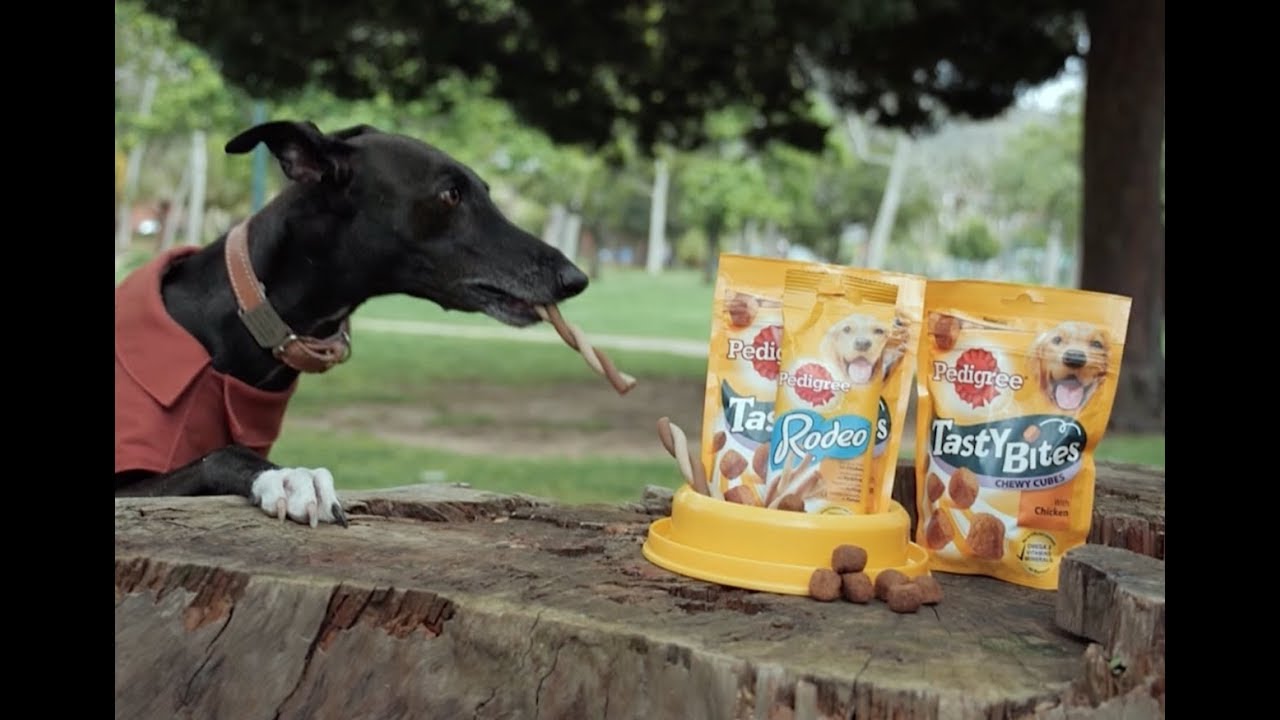 pedigree tasty bites chewy cubes