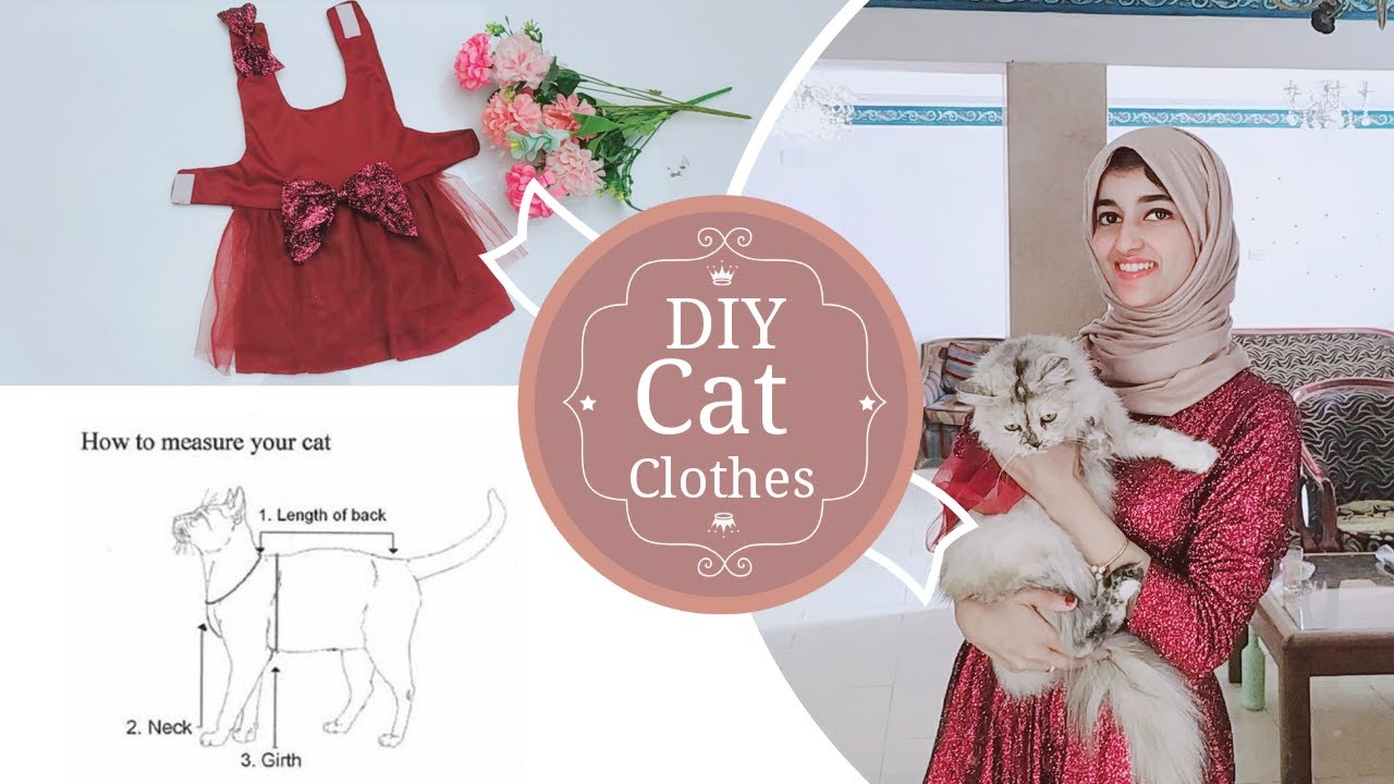 DIY Cat Clothes | how to make Cat dress at home - YouTube