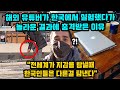 해외 유튜버가 한국에서 진행한 놀라운 실험에 해외 네티즌 극찬폭발한 이유